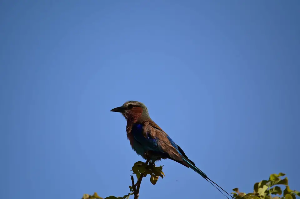 NZ6_3133.jpg