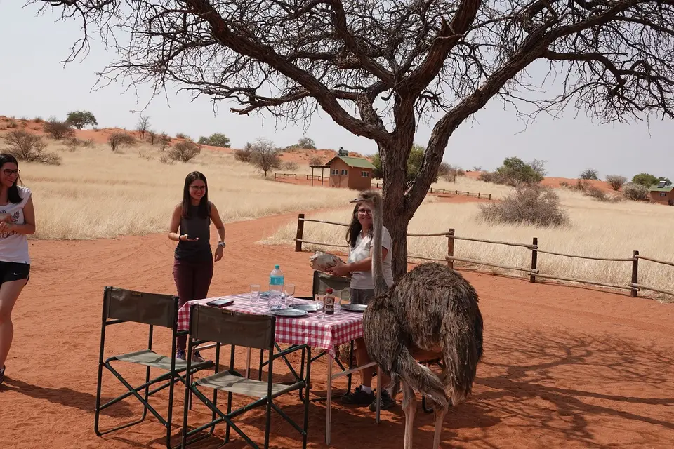 Tag3-7.jpg