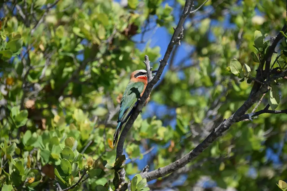 DSC_0118.jpg