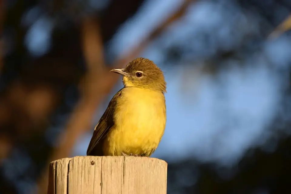 DSC_0236.jpg