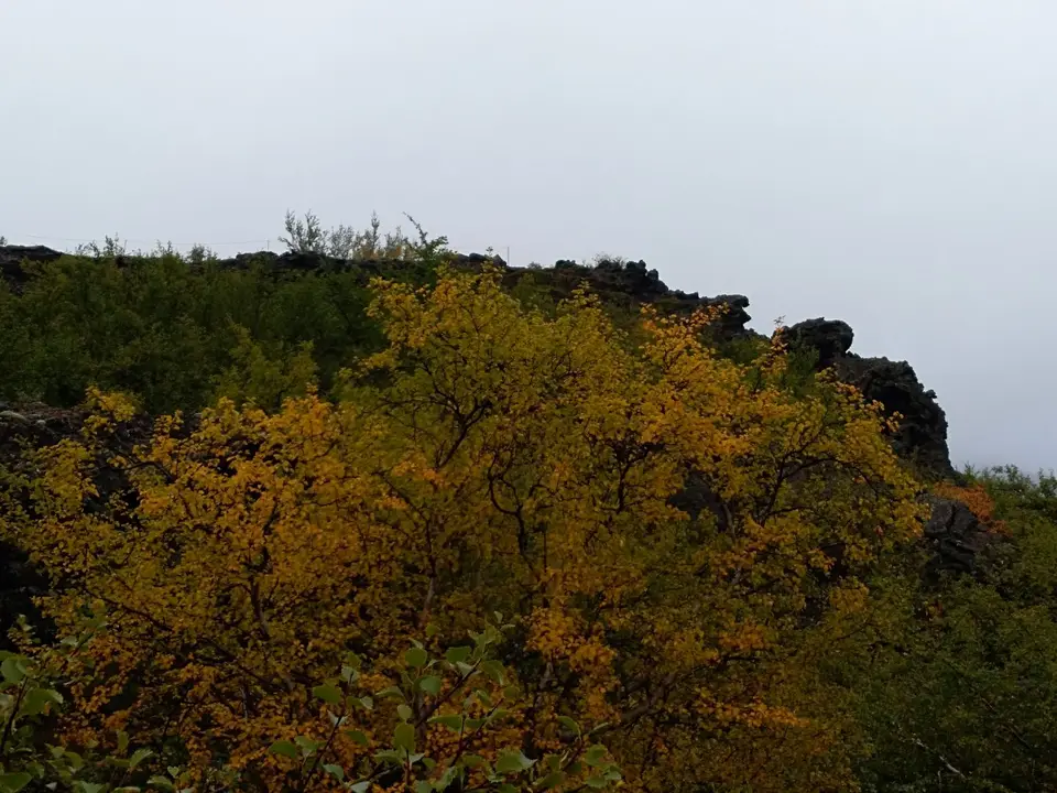 IMG_20200903_080020.jpg
