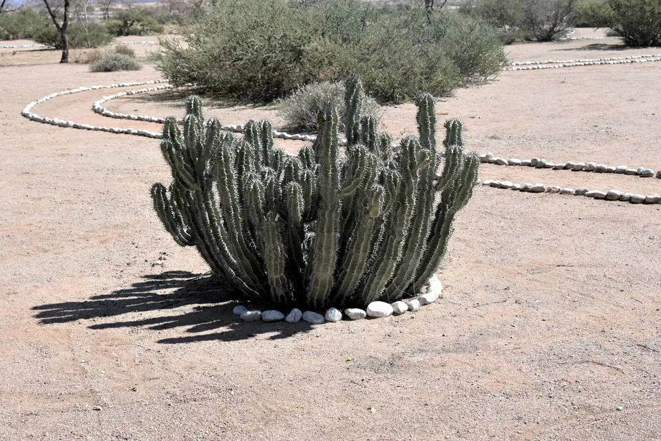 DSC_3065_535.JPG
