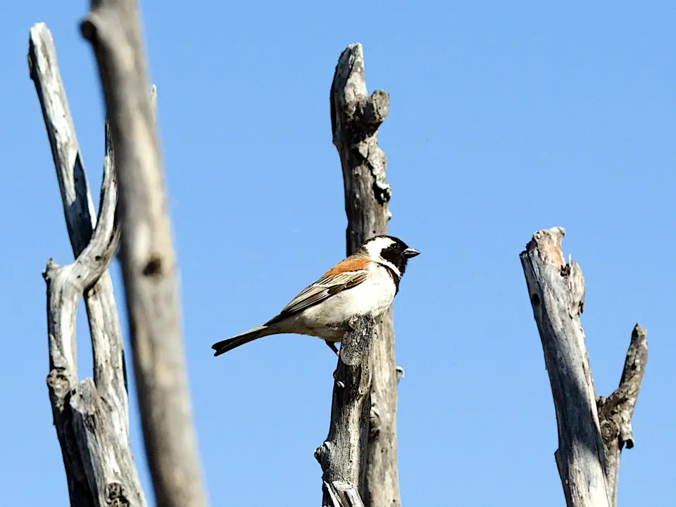 DSC_3579_1.jpg