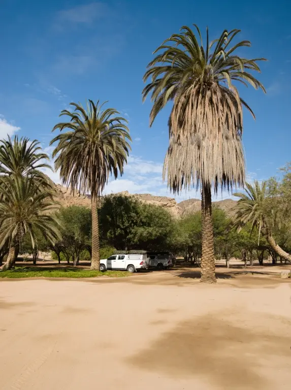 DSC_3665_1.jpg