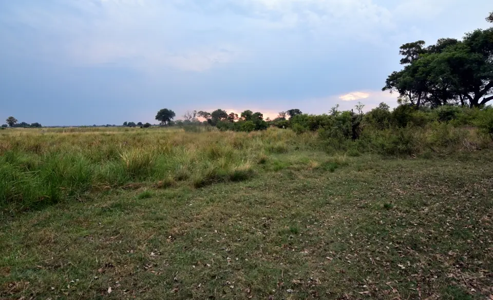 DSC_4017.JPG