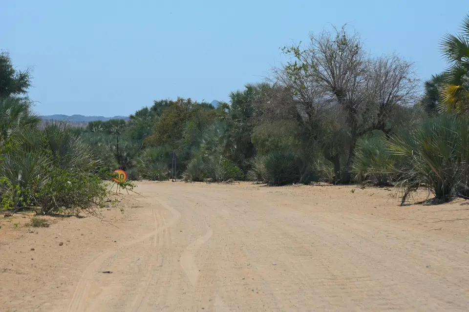 image307.jpg