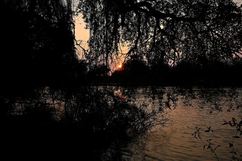 image338.jpg