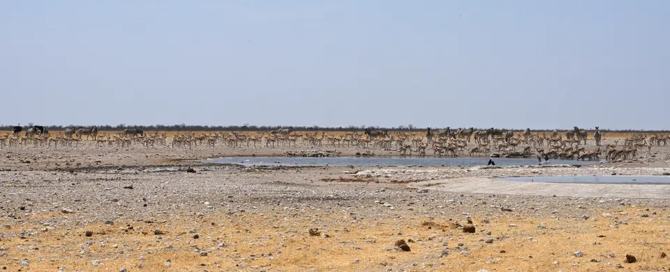 image416.jpg