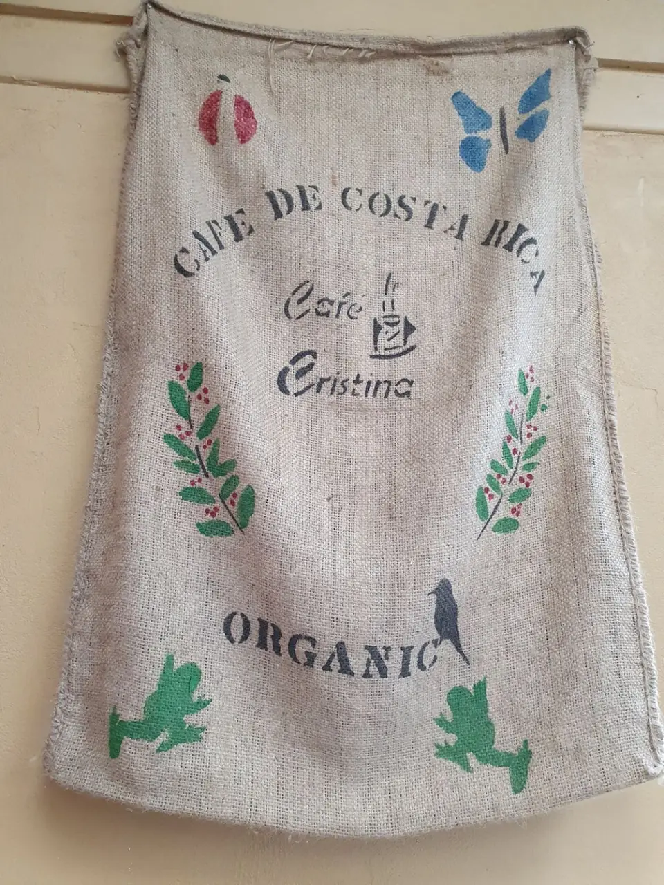 006CostaRicaDez2021Orosi-Tal-FincaCristina.jpg