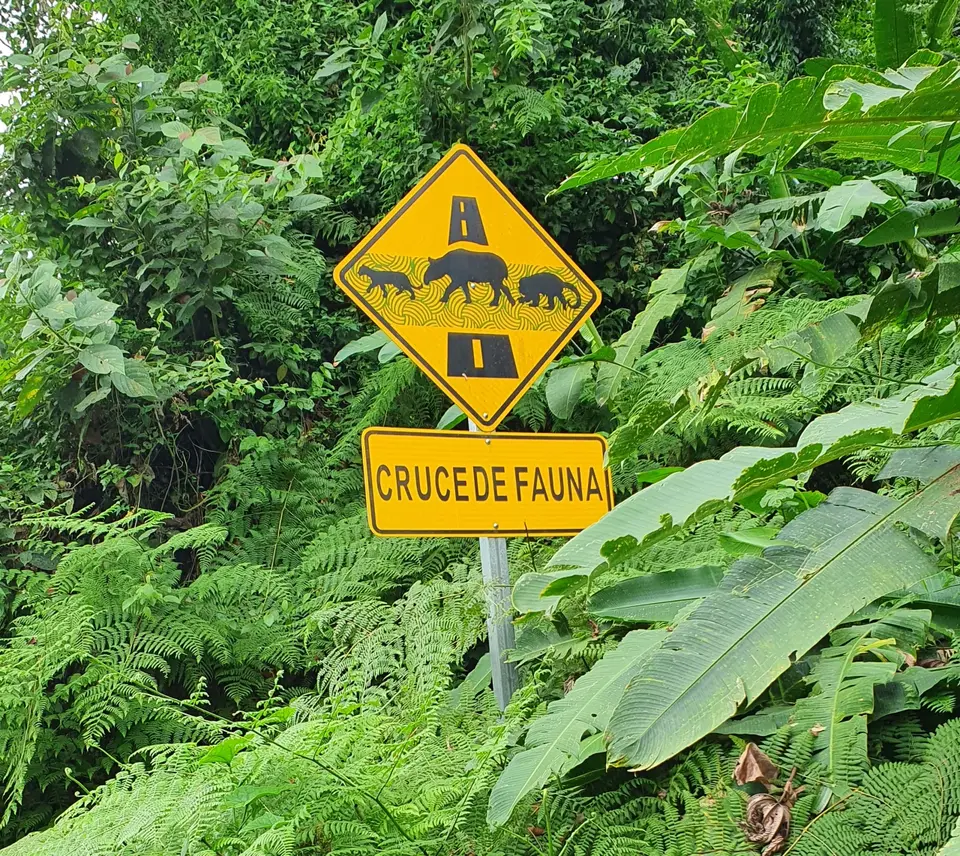 019CostaRicaNov2021LaFortuna.jpg