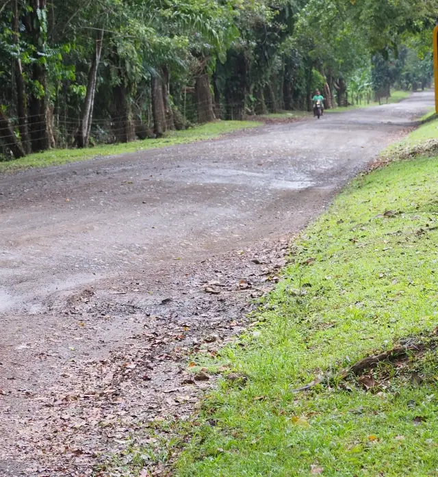 023CostaRicaDez2021vonQuetzalesNPzumCorcovadoNPPanamericana.JPG