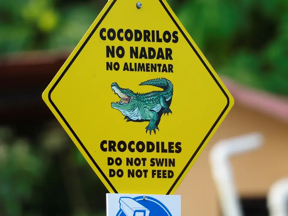 036CostaRicaNov2021TortugueroNP.JPG