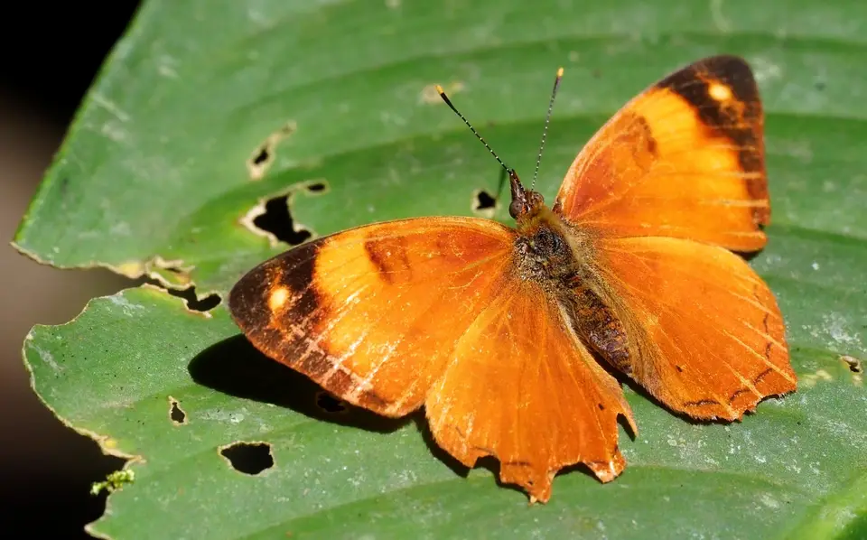 044CostaRicaNov2021LaFortuna.JPG