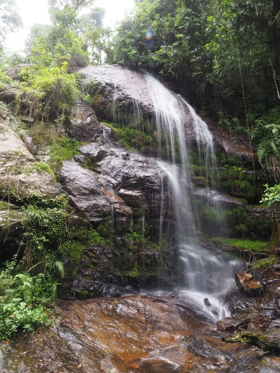 103TansaniaNov2020UsambaraGebirge-AusflugindenRegenwald-Wasserfall.JPG
