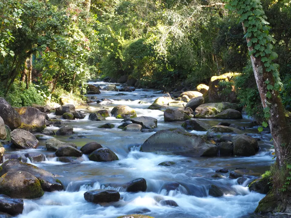 112QuetzalesNPSavegreHotel.JPG