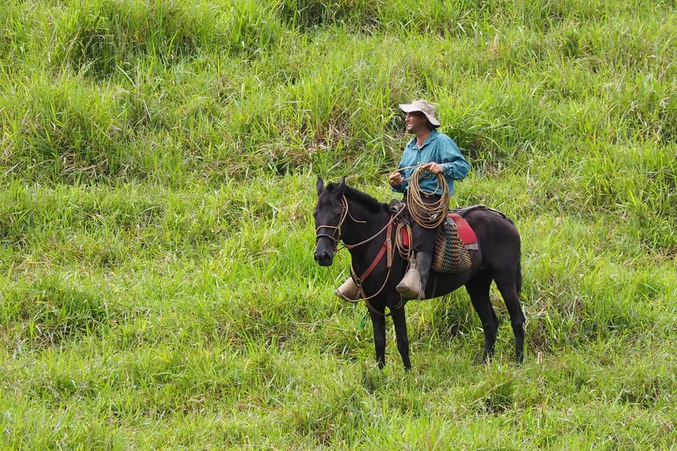 116CostaRica2021Dominical-NauyacaWaterfallsRinderundCowboys.JPG