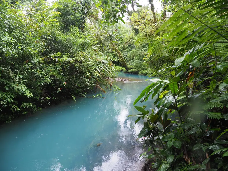 135CostaRicaNov2021LaFortuna-RioCeleste.JPG