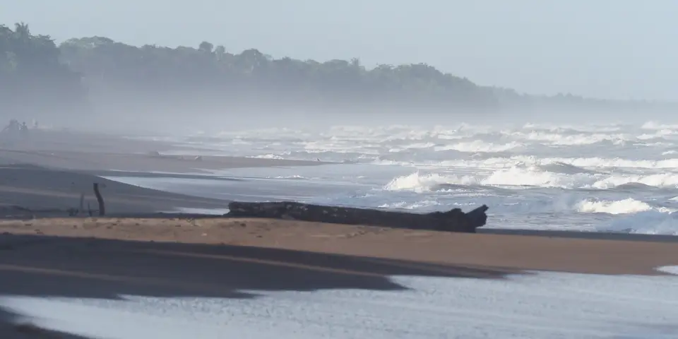 189CostaRicaNov2021TortugueroNP.JPG