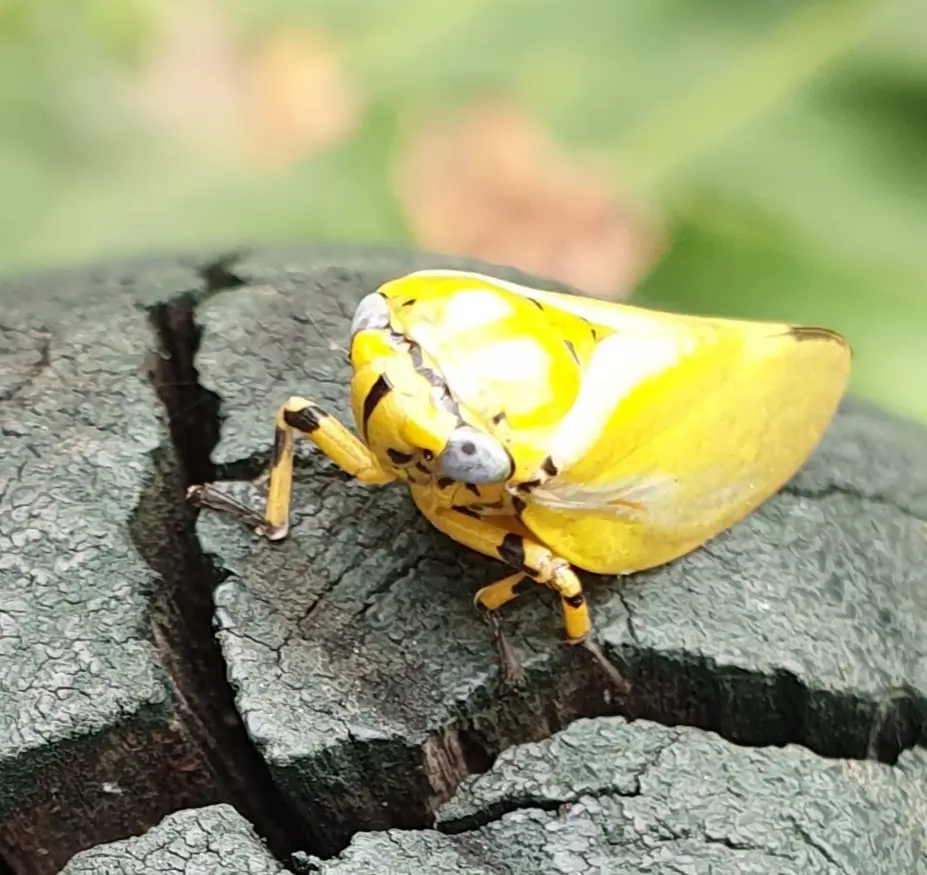 20201118_092853.jpg