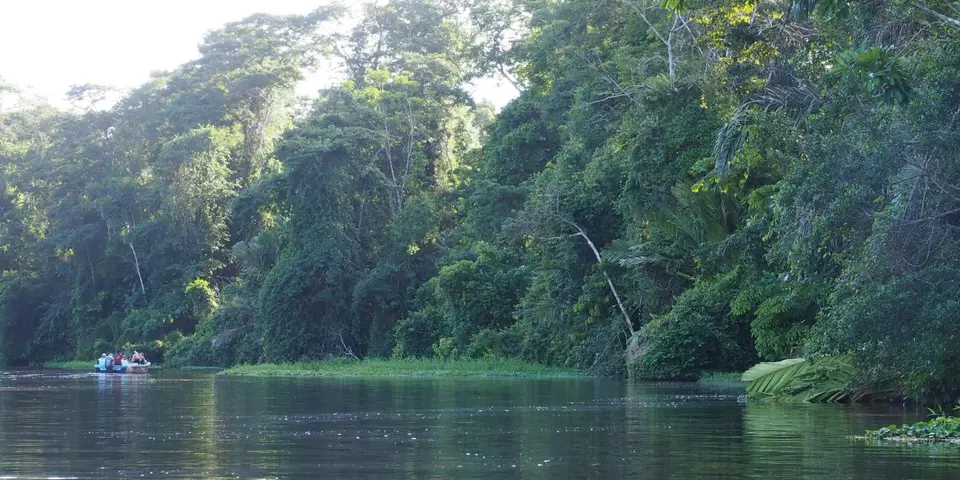 206CostaRicaNov2021TortugueroNP.JPG