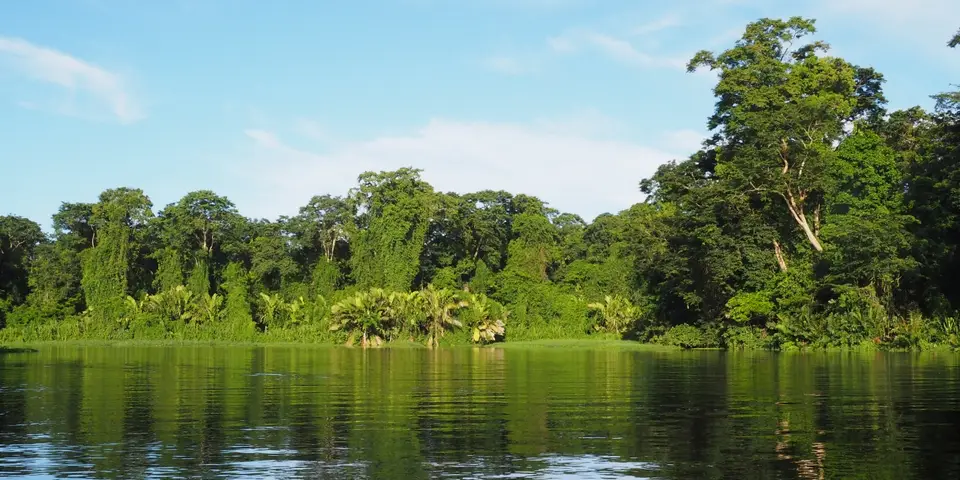 207CostaRicaNov2021TortugueroNP.JPG
