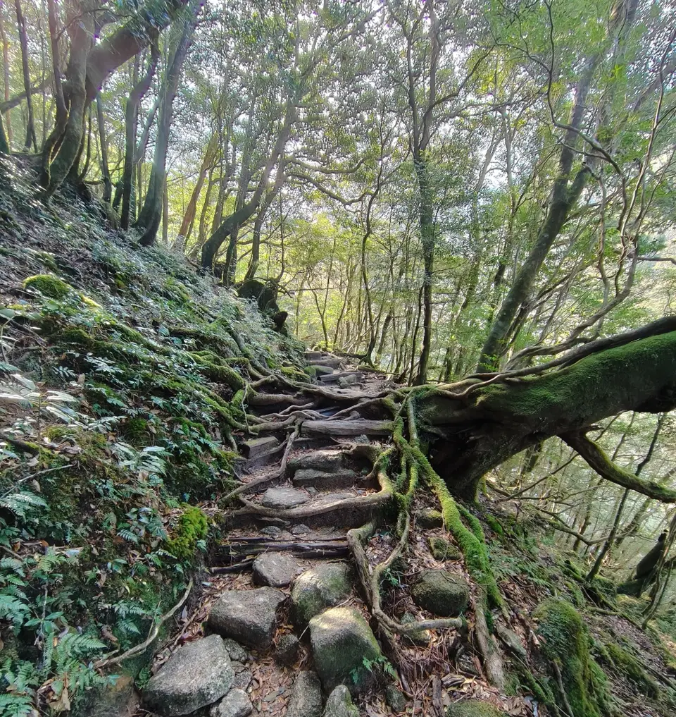 260117135819741.JPG