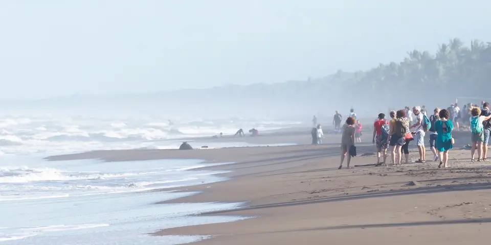 268CostaRicaNov2021TortugueroNP.JPG