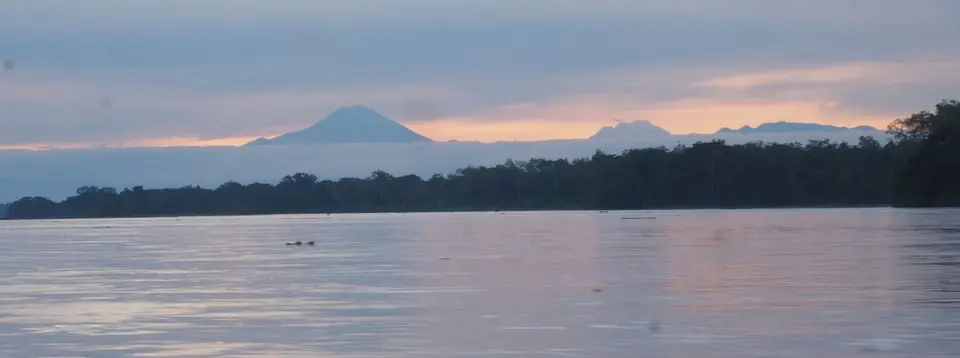 424EcuadorNov2023-YasuniNP-YasuniNP-RioNegro.JPG