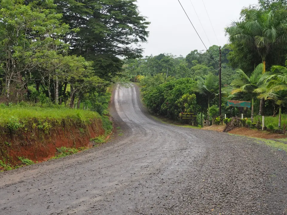 558CostaRicaNov2021BocaTapada-2.JPG