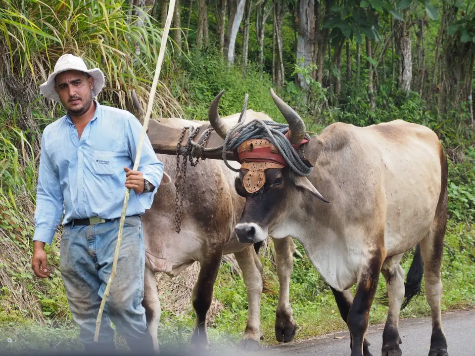 73CostaRicaDez2021zwischenMonteverdeundSanJose.JPG