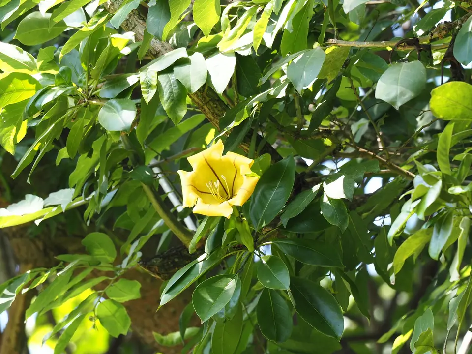 PB180126.JPG