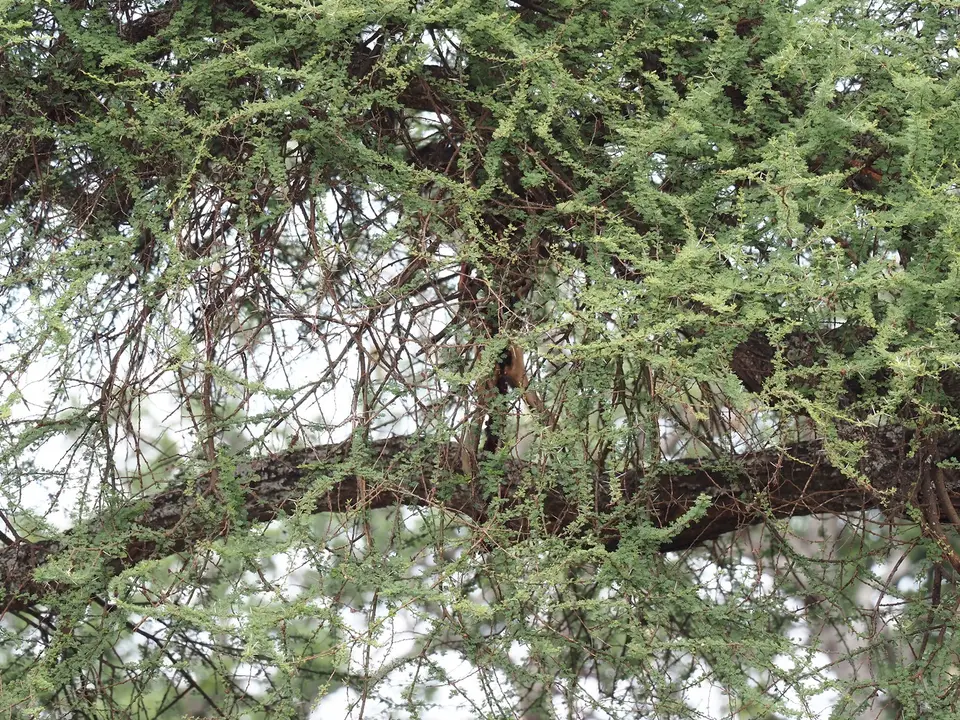 PB200465.JPG