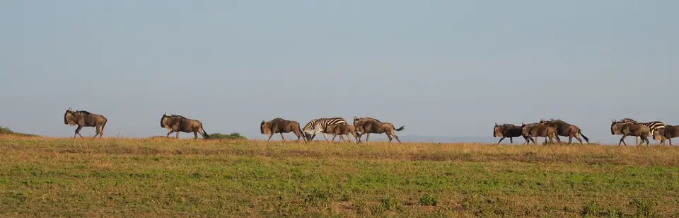 PB270846.JPG