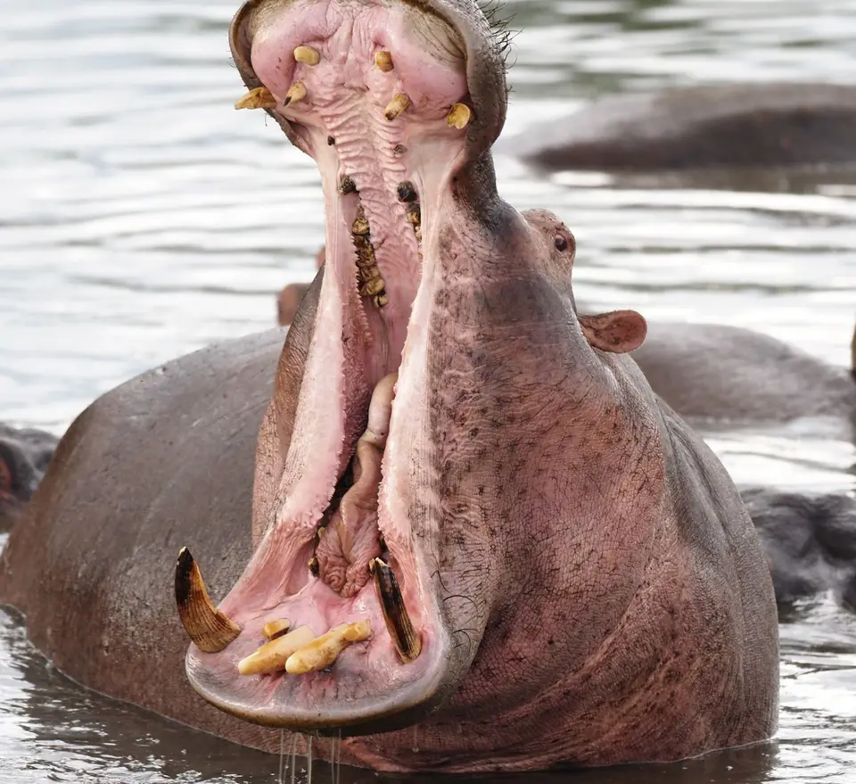 PB281979.JPG