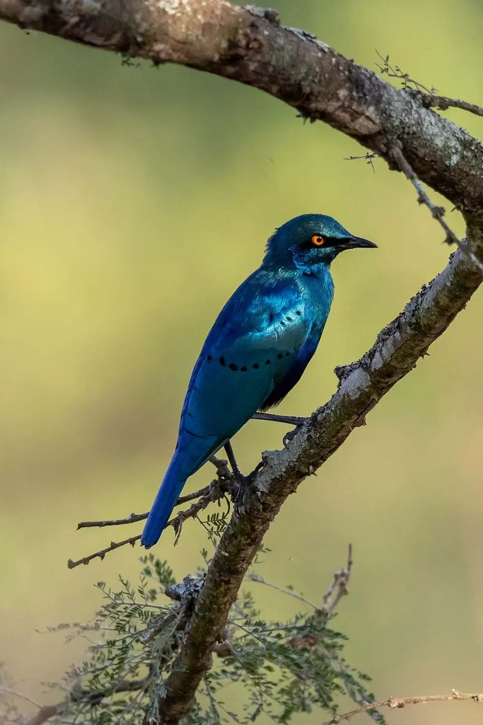 HBl_2025_5622.jpg