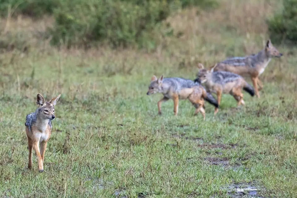 K_2023_0750-2.jpg
