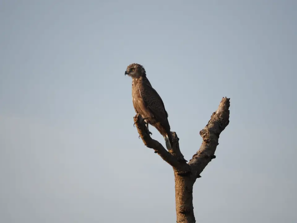 0518.JPG