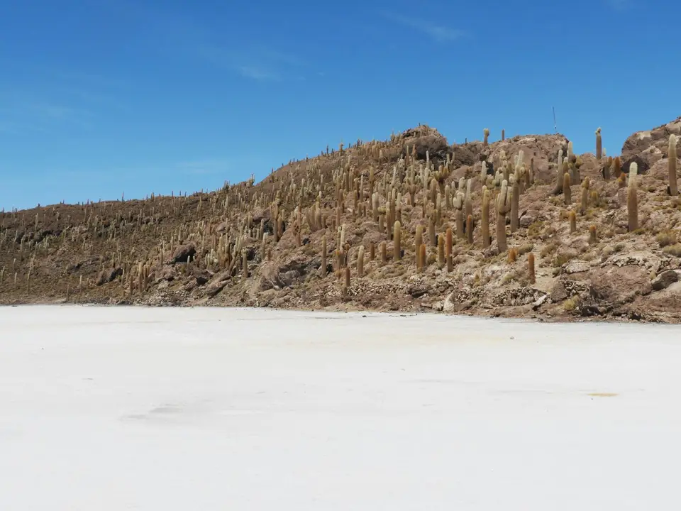 DSCN0646.JPG