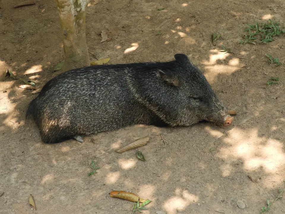 DSCN1213.JPG