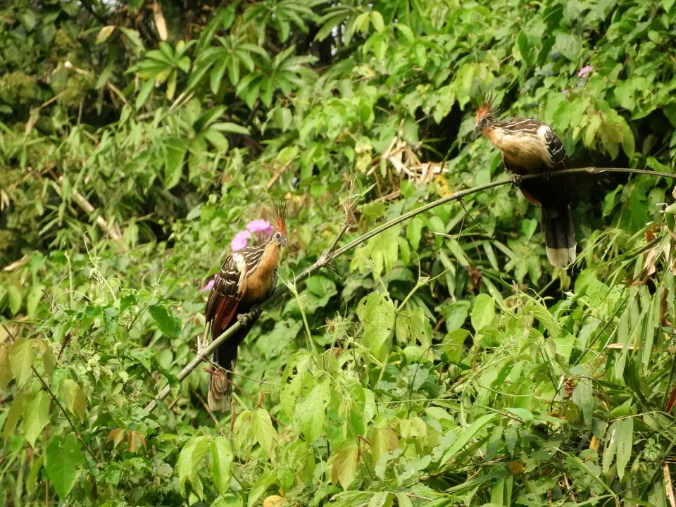 DSCN1247.JPG