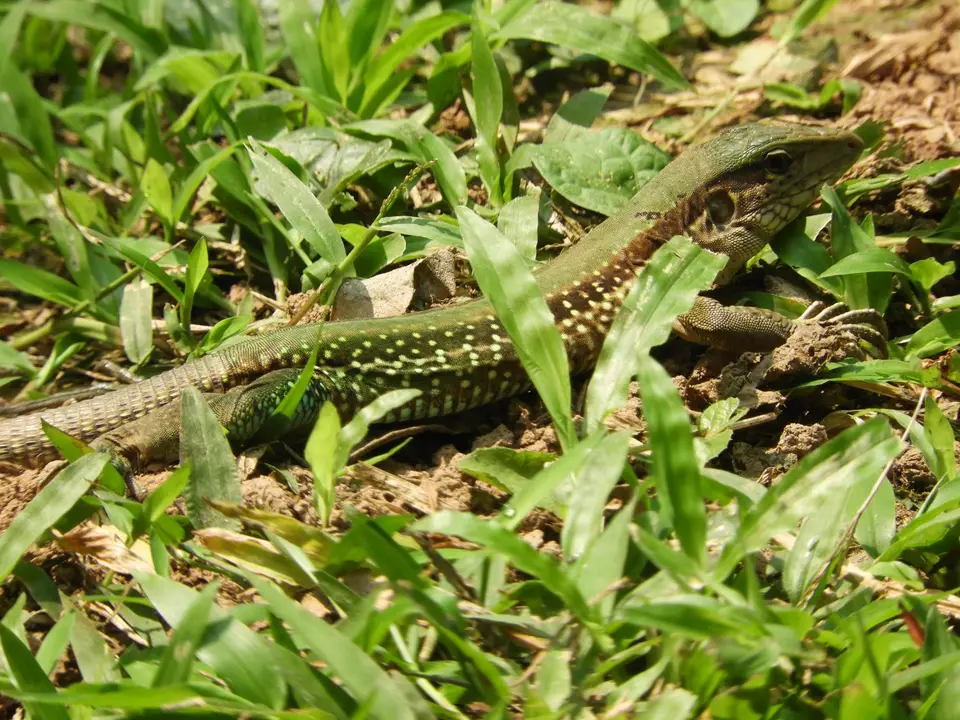 DSCN1260.JPG