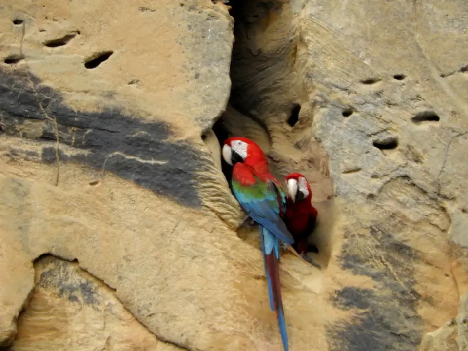 DSCN1277.JPG