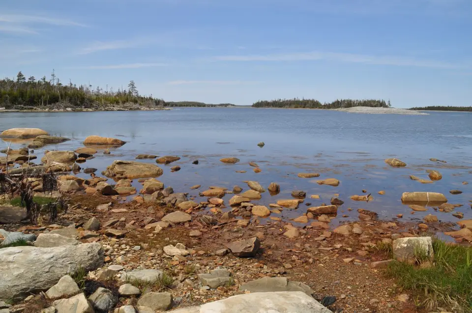 DSC_0210-2.JPG