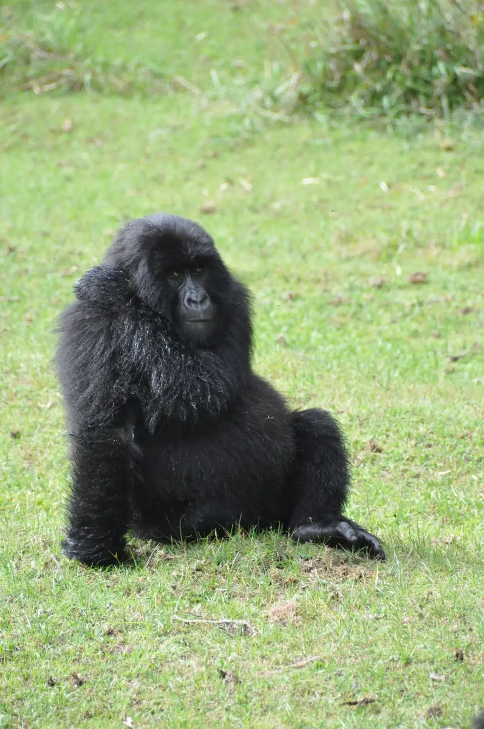 DSC_0533.JPG