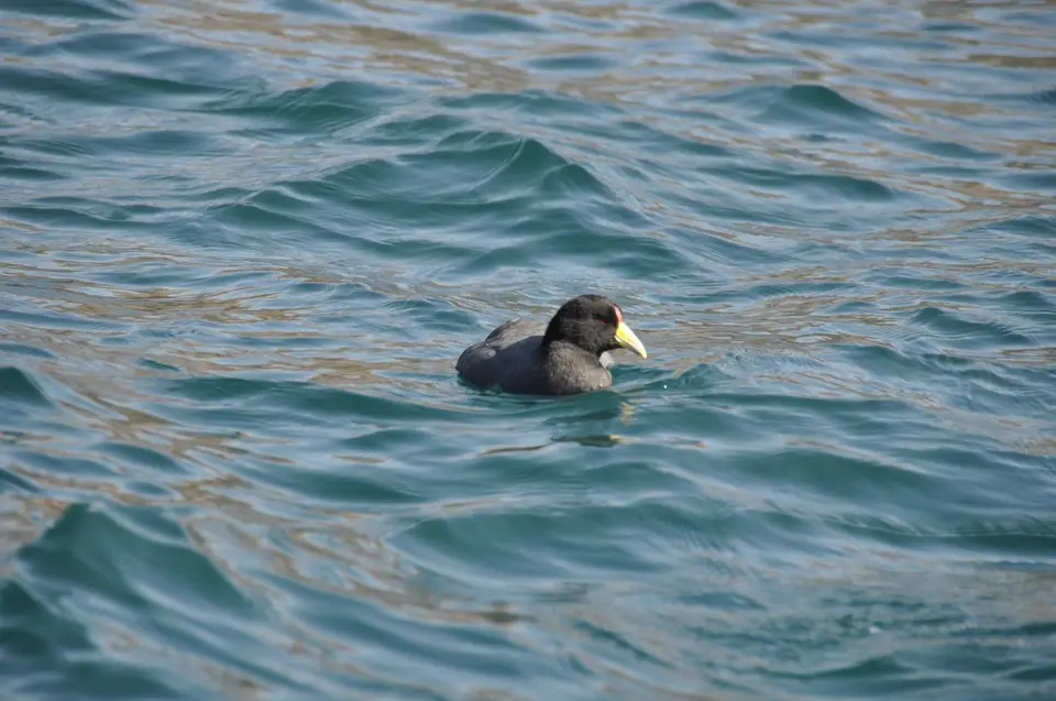 DSC_0843.JPG