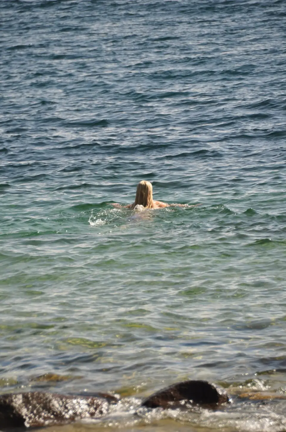 DSC_0904.JPG