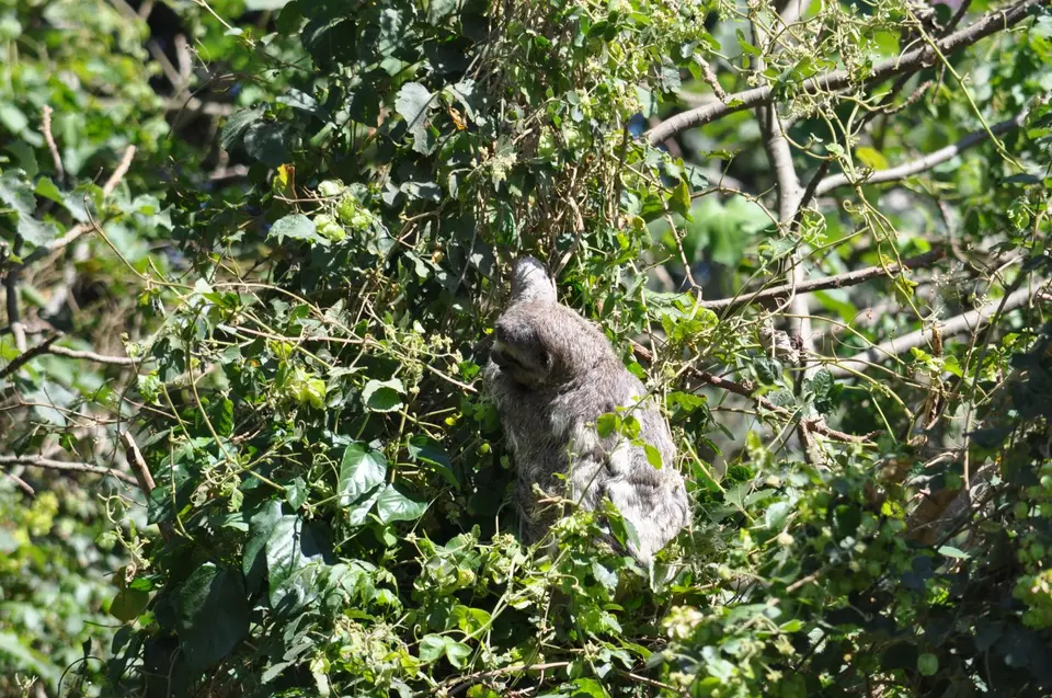 DSC_1191.JPG
