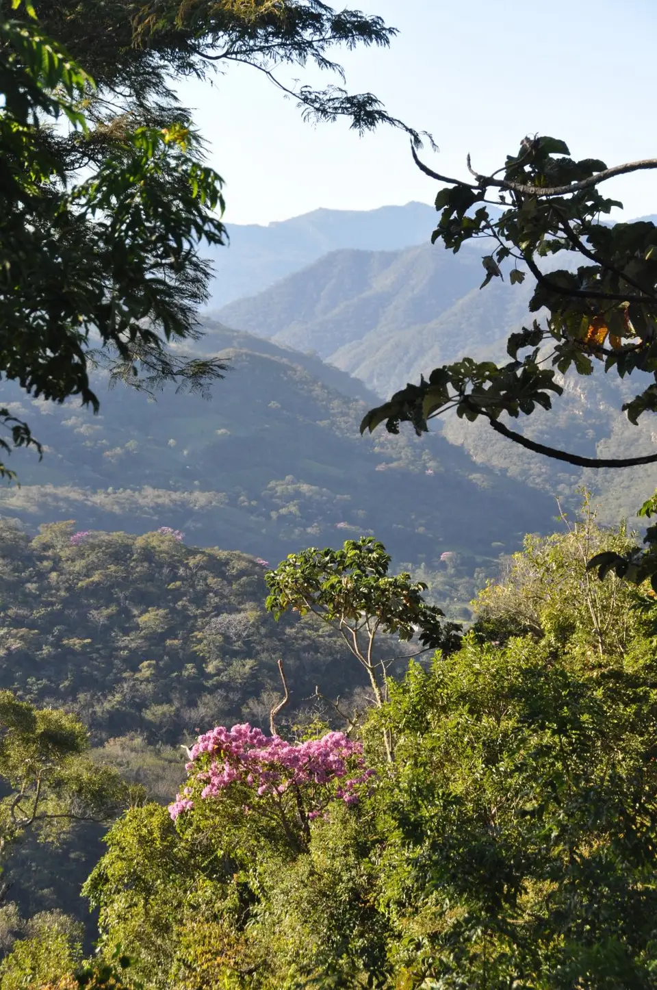 DSC_1202.JPG
