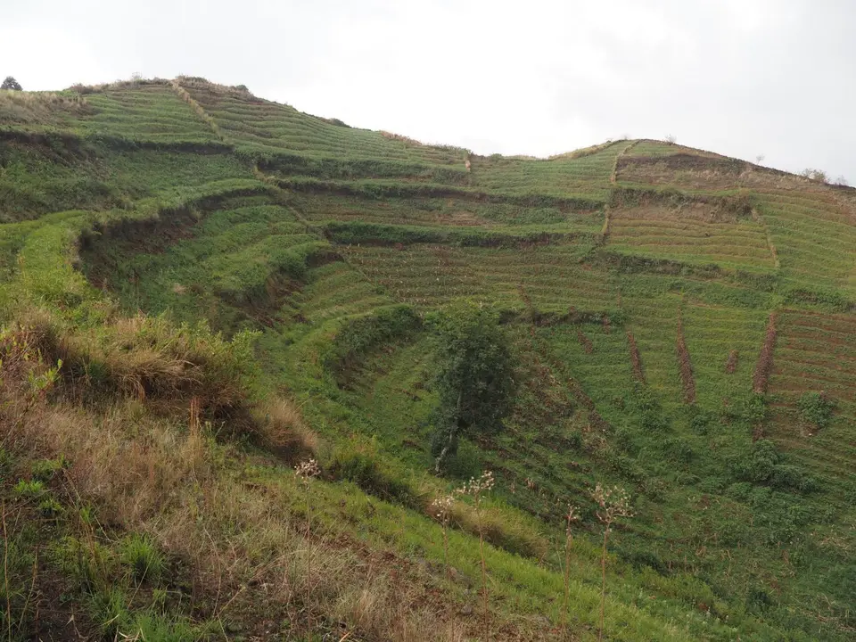 P8282241.JPG