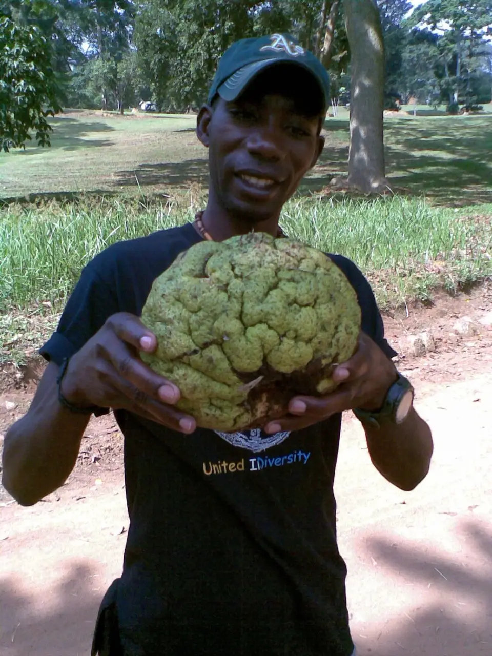 AfricanBrainfruit_2.jpg
